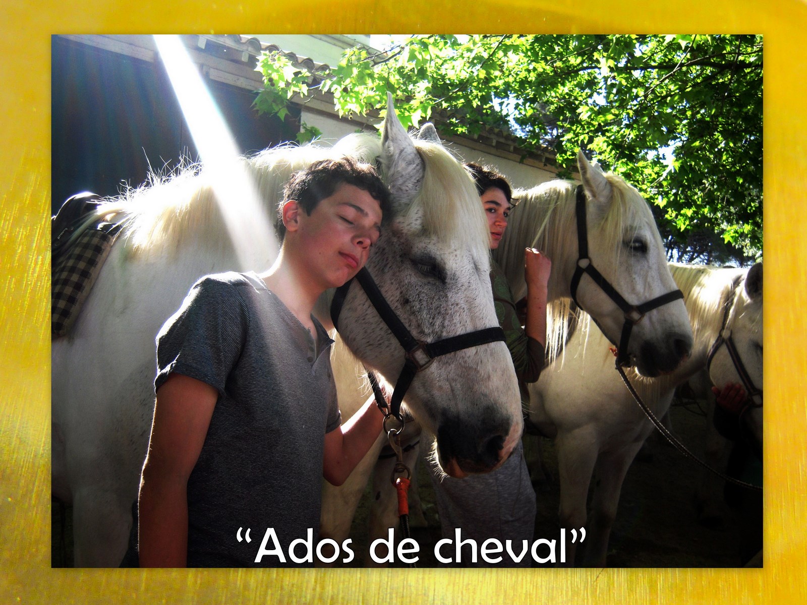 Ados cheval1