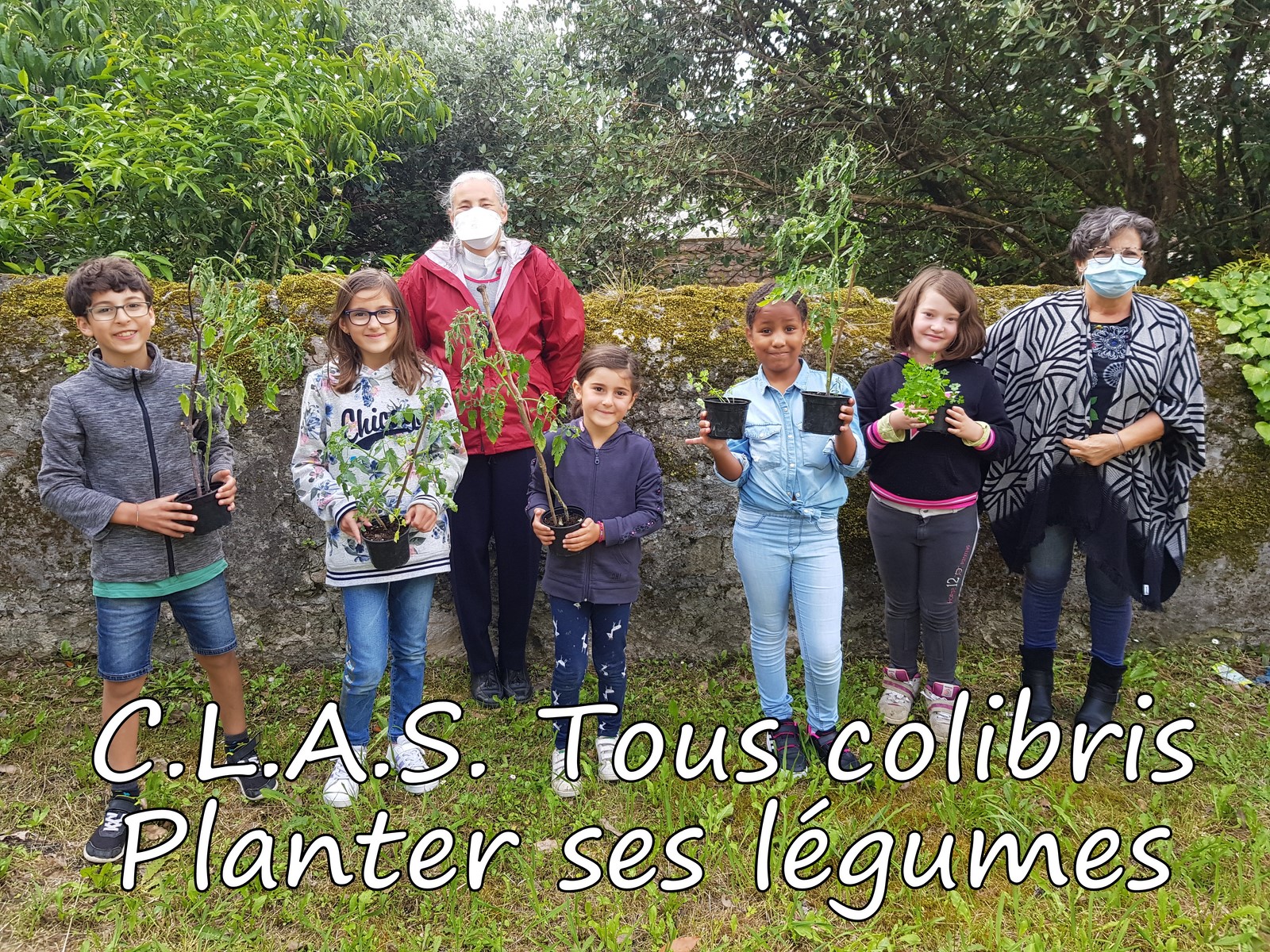 CLAS-Tous-Colibris-Planter-ses-legumes