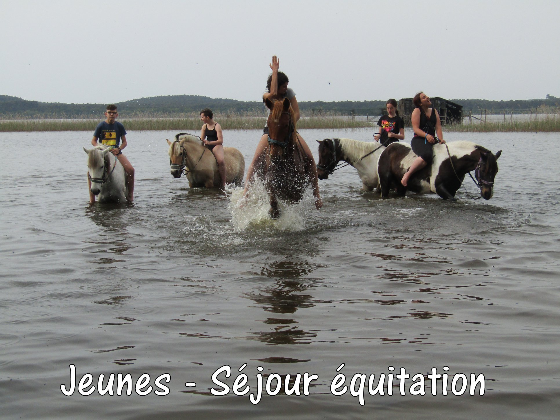 sejour-equitation