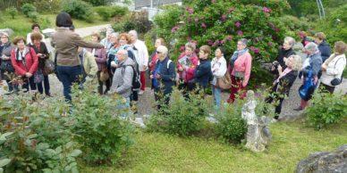 Sortie roseraie 17-5-18