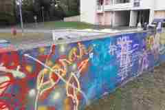2-apprivoiser-les-mombes_2_BulkResizer.com_