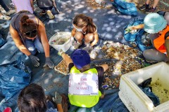 20210529_161711-01-1600x1200