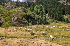 photo-sortie-famille-Suyen-juillet-2026-10