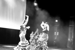 Spectacle-hip-hop-fin-d-annee-2025-9