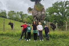 Sortie-CLAS-Brassempouy-9