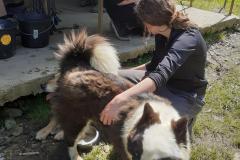 Cani-journee-avril-2026-4